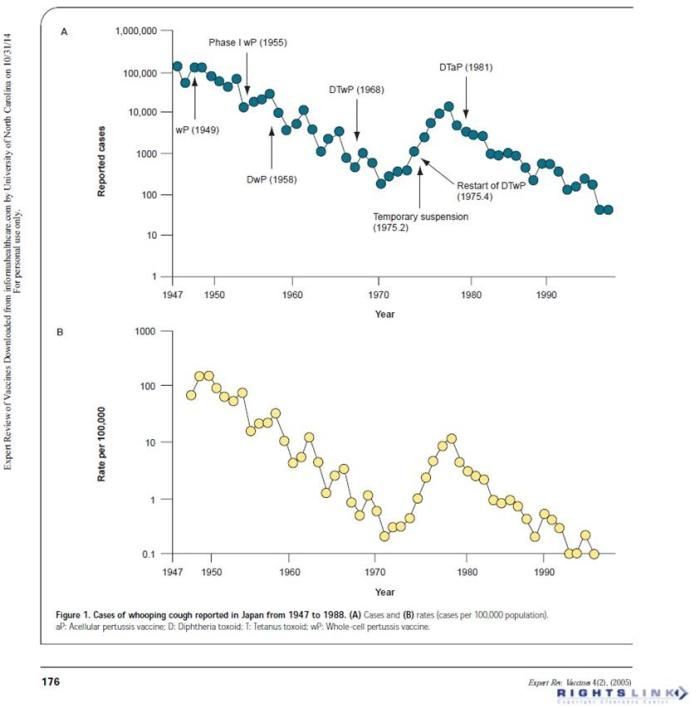 oh my god twitter doesn’t include alt text from images in their API